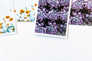 3x4 prints