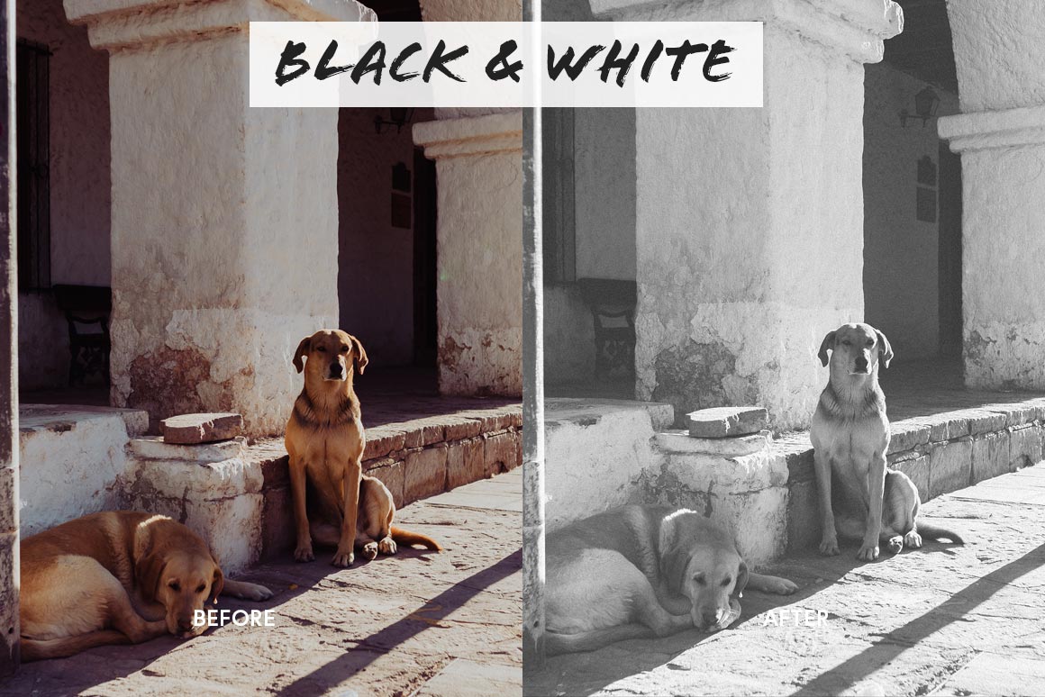 black and white photo editor
