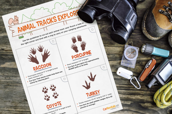 Camping Printable