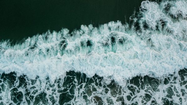 quotes-about-strength-and-courage