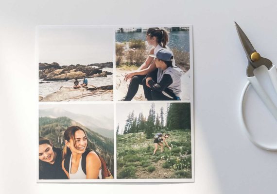 2x2-Prints_Persnickety