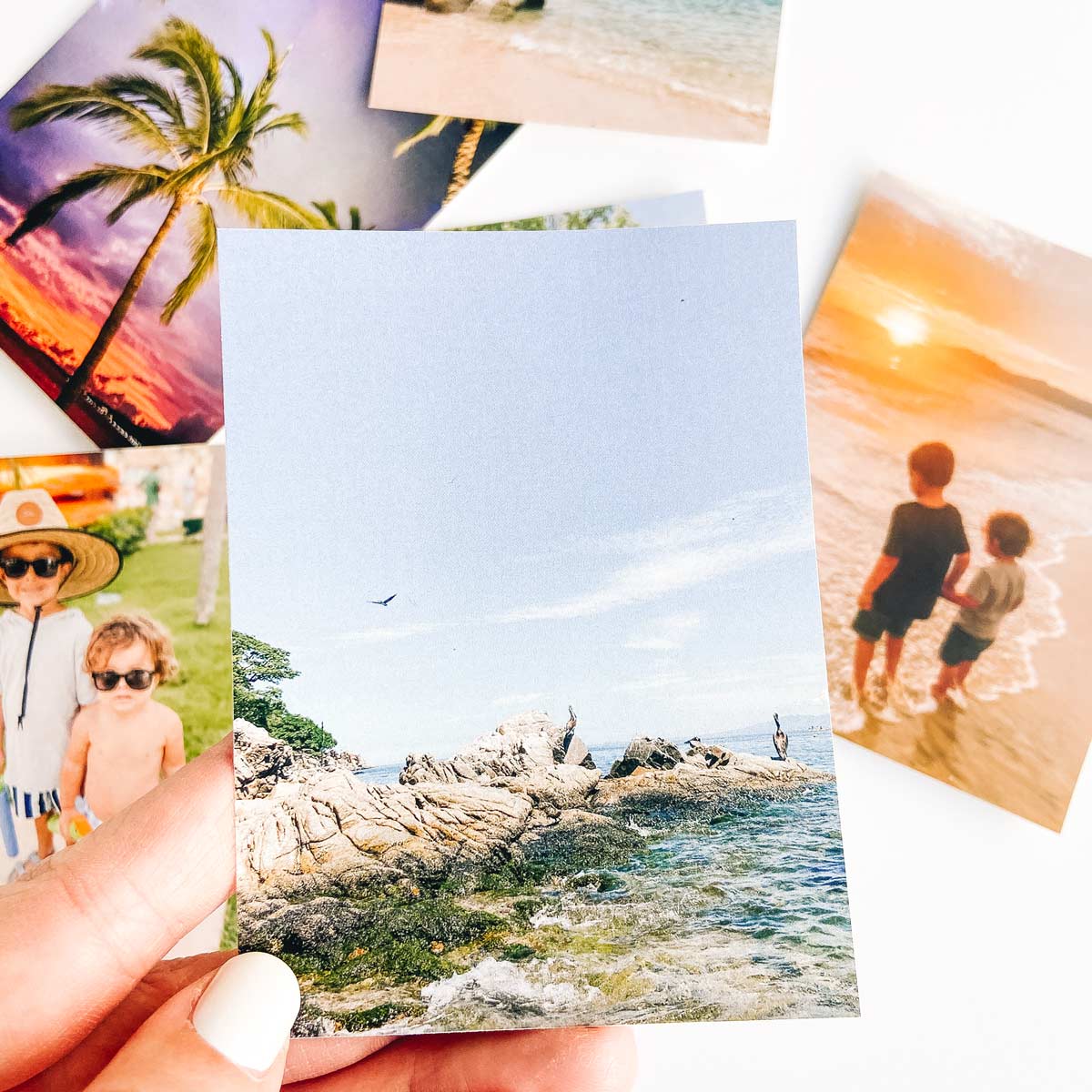 Persnickety-Prints-stickers