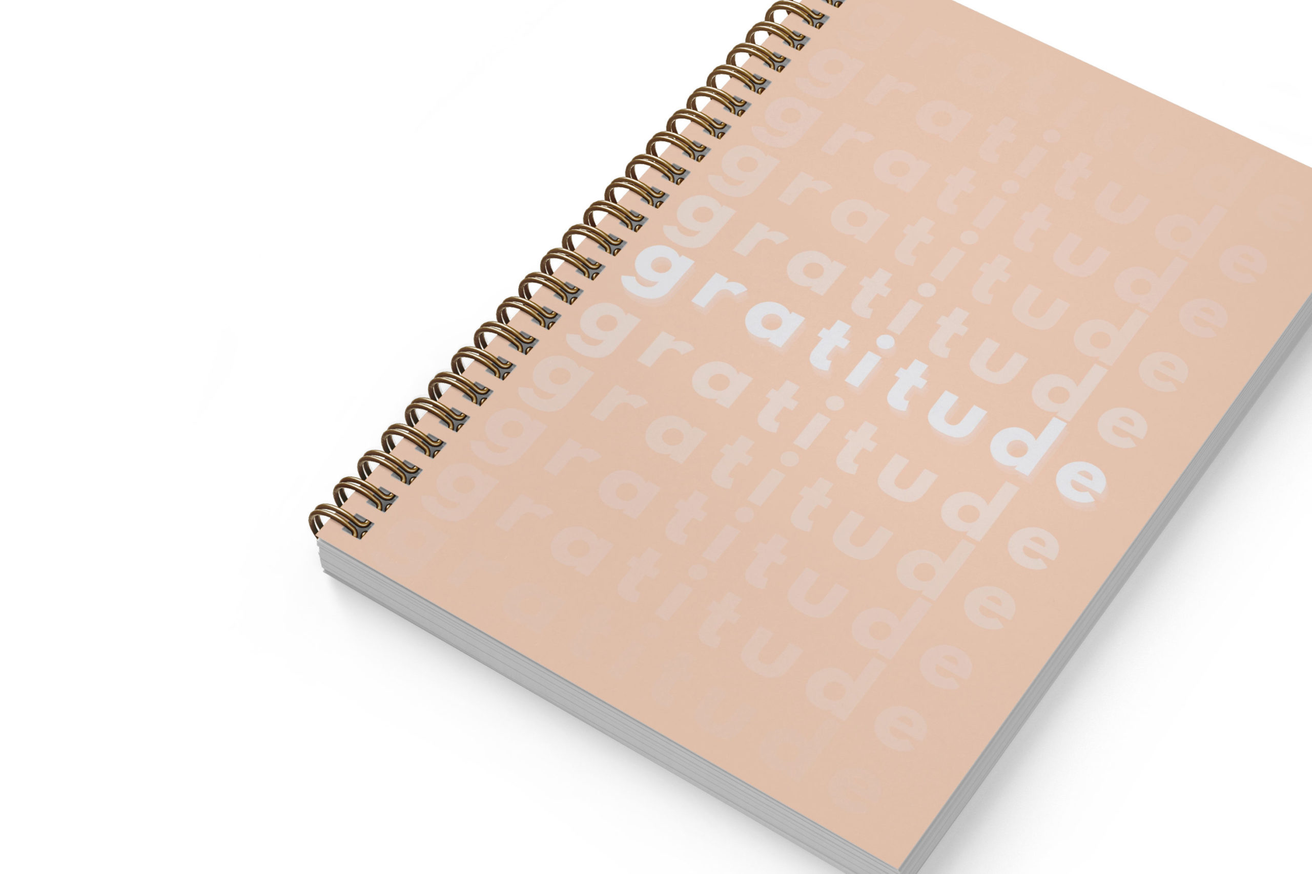 https://www.persnicketyprints.com/wp-content/uploads/2021/11/pink-gratitude-angle-copy-edited-scaled.jpg