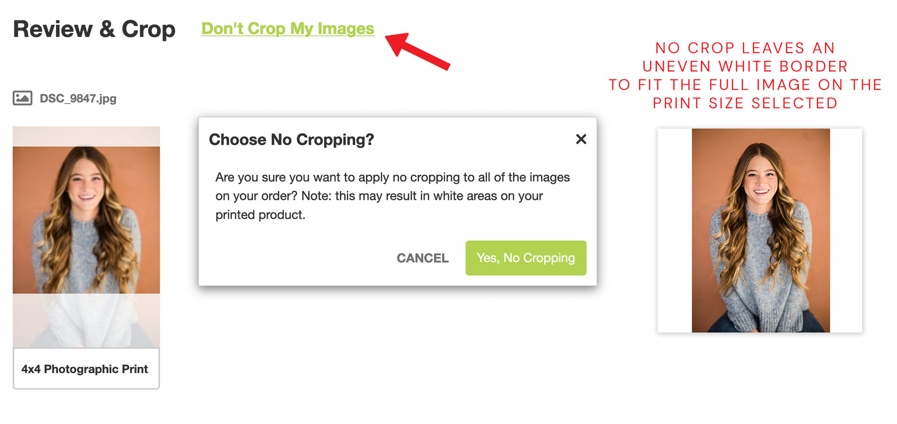 Persnickety Prints Online Photo Cropping