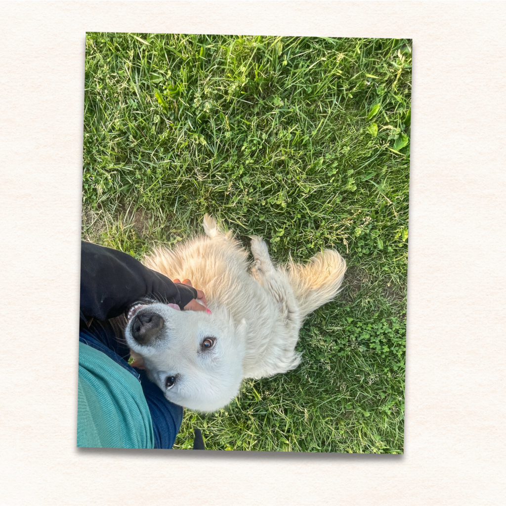 11x14 photo print