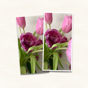 4x8 Photo Print