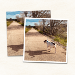 5x5 photo print