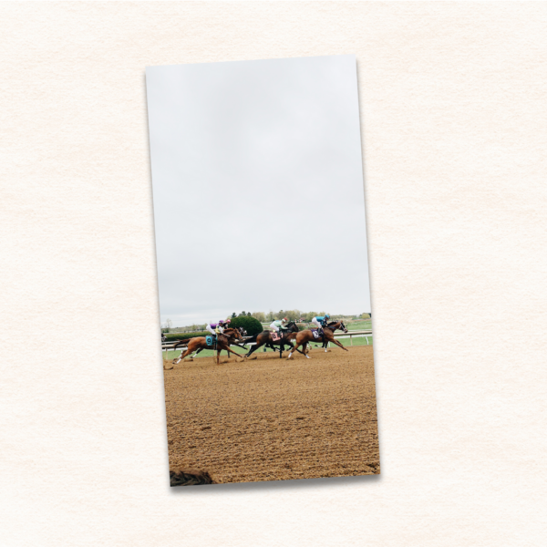 6x12 photo print