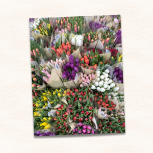 8.5x11 photo print