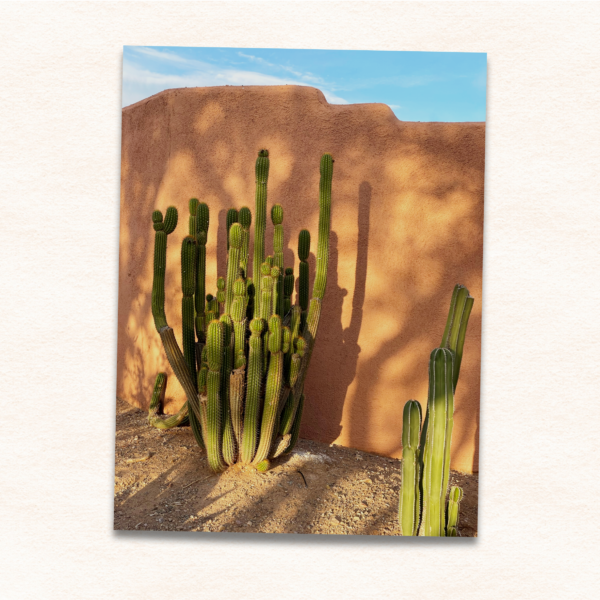 9x12 Photo Print