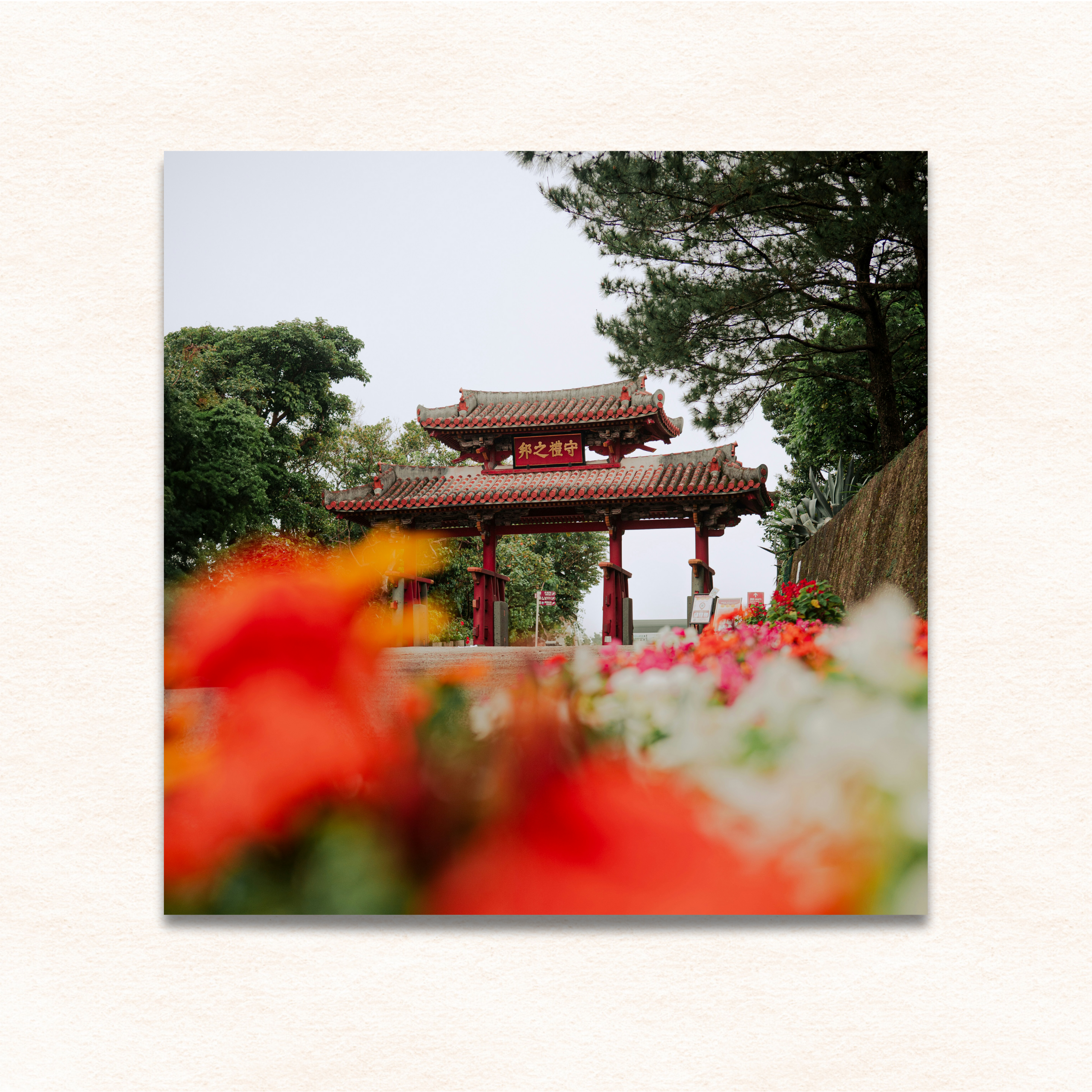 14x14 photo print