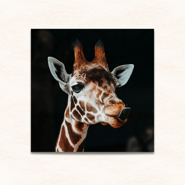 18x18 photo print