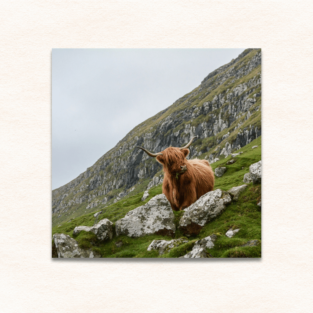 Buy Photo Prints Online • Persnickety