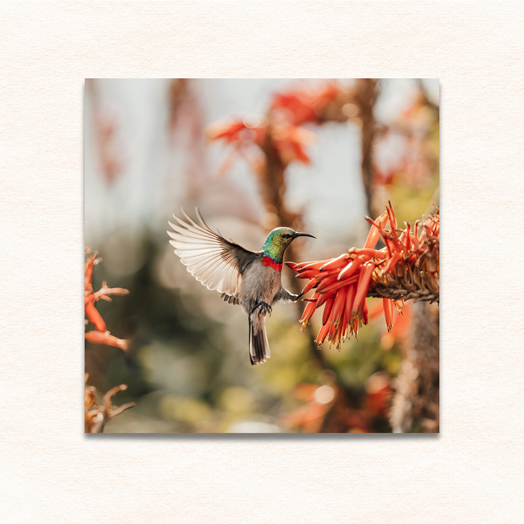 20x20 Photo Print