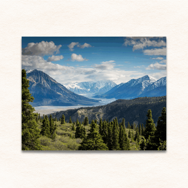 22x28 Photo Print