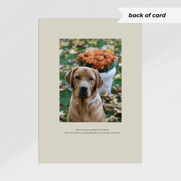 Plaid Olive Christmas Card - Image 2